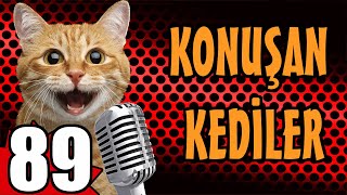 Konuşan Kediler 89 - En Komik Kedi Videoları - Pati̇ Tv