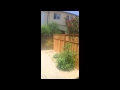 Hybrid Homes Team NO STEP ON CARPORT DESIGN Hybrid Homes Team NO STEP ON CARPORT DESIGN