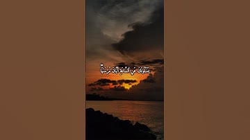 #سعد_الغامدي #قرآن #آيات #راحة_نفسية