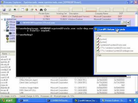 White Hat Shellcode Workshop: Enforcing Permanent DEP