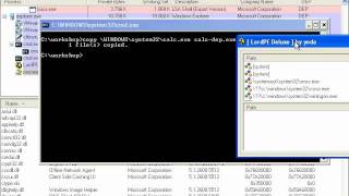 White Hat Shellcode Workshop: Enforcing Permanent DEP
