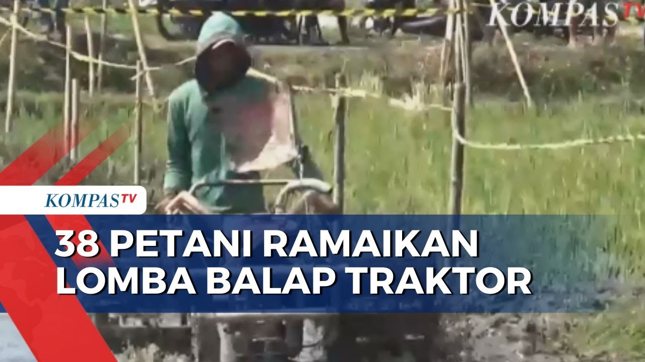 Di Klaten, Puluhan Petani Ramaikan Lomba Adu Cepat Traktor di Lintasan Sawah
