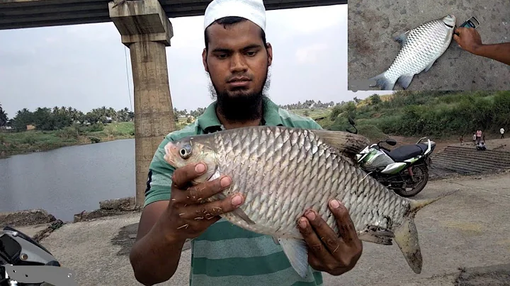 Parag Fish Catching on Bridge