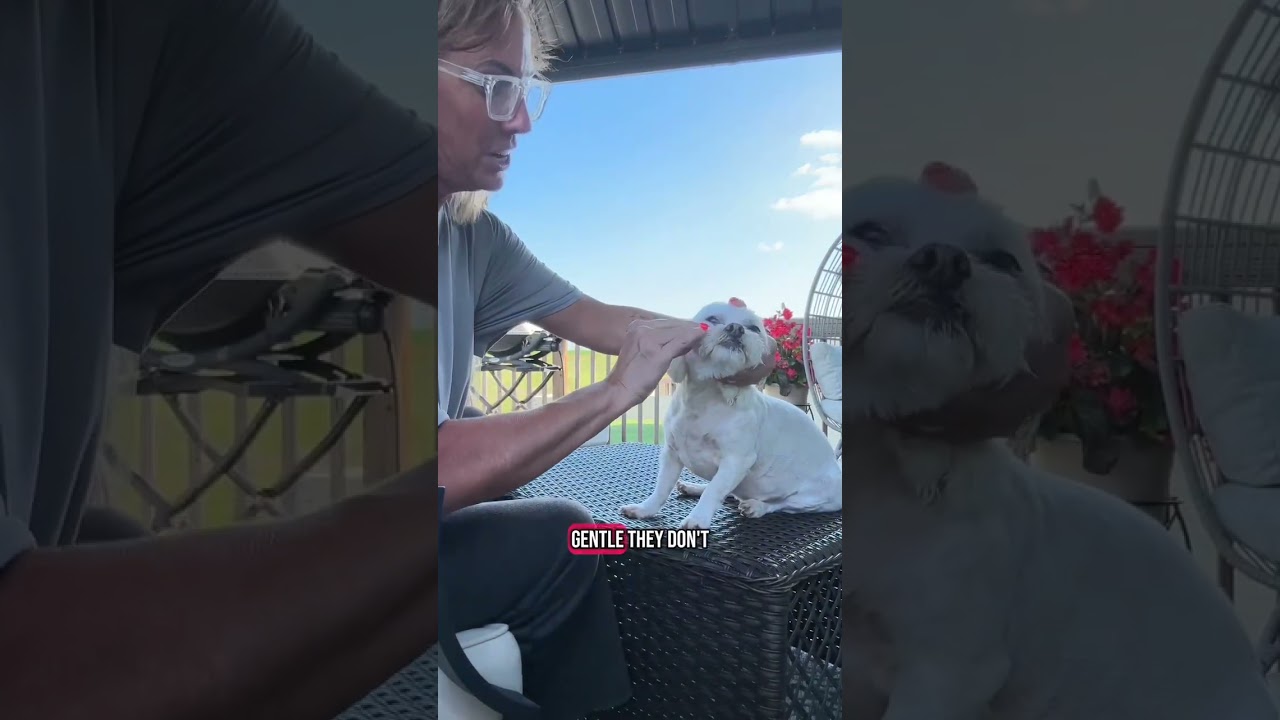 🐶 Gentle & Clean: Hypoallergenic Eye Wipes for Pets | Tear Stain Remover for Dogs & Cats 🧼