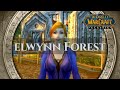 Elwynn forest  gameplay part 1  world of warcraft classic