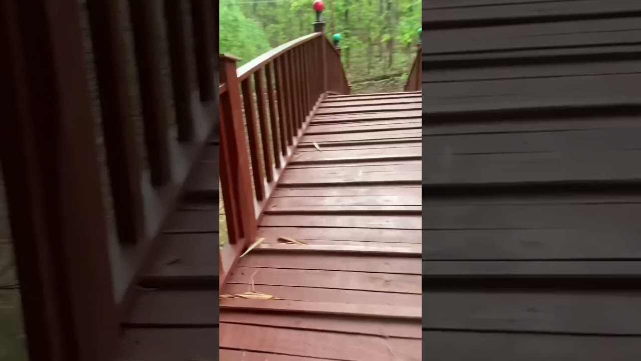 Selfie Bridge (Arch Bridge)