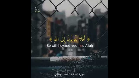 سورة المائدة للشيخ ناصر القطامي