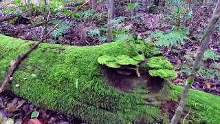 Abandoned : Behind the scenes searching for elusive crystal mine When things dont go as planned