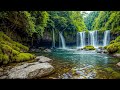 Beautiful Relaxing Music 🌿 Stop Overthinking, Stress Relief Music 🌿 Gentle Music