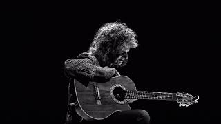 PAT METHENY PLAYLIST🎵 🎸