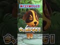 ご主人様が溺れたときの犬と猫の違いwww [あつまれどうぶつの森]