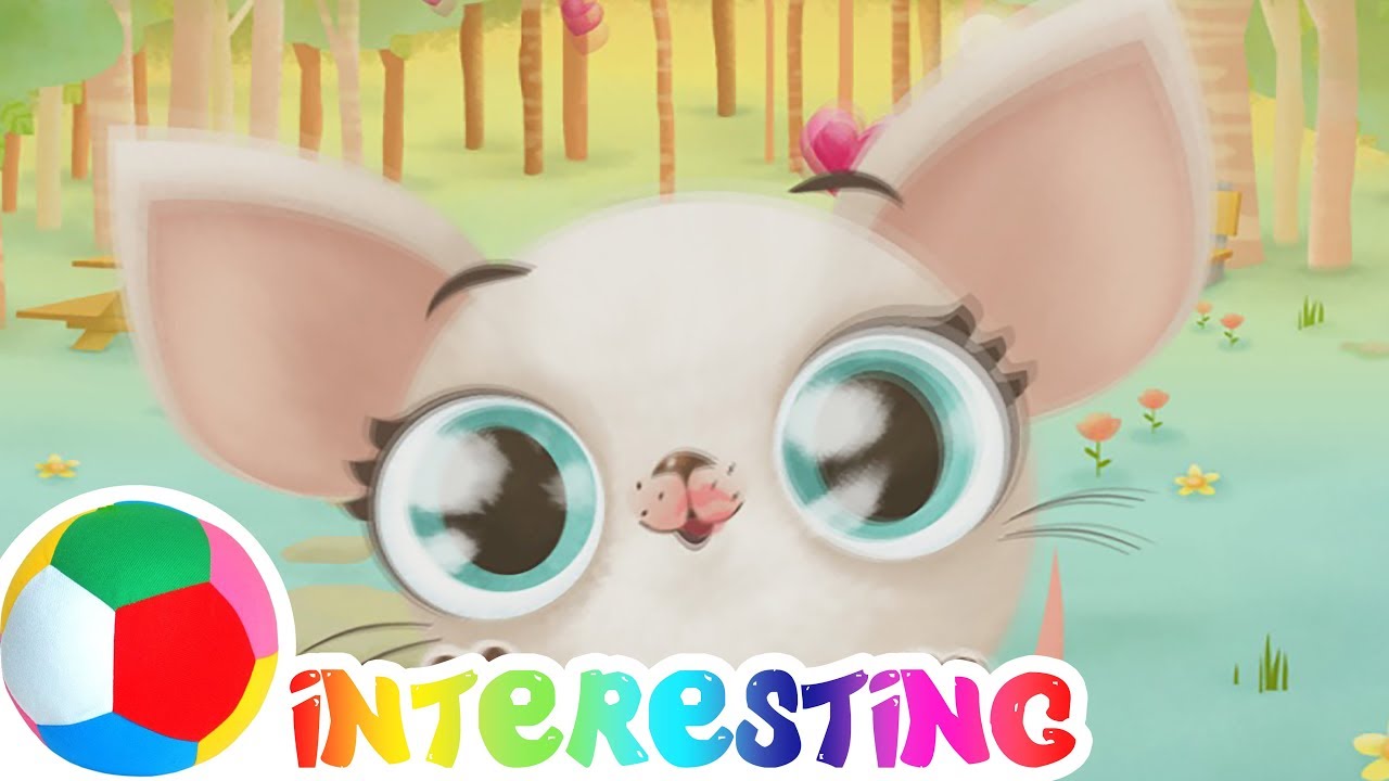 Let's dress up a little dog game for kids Miss Hollywood game - YouTube