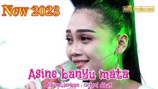 ASINE BANYU MATA - DESY PARASWATI - ORGAN DESY PARASWATI GROUP PIMP: DESY.P || LIVE PLUMBON CIREBON