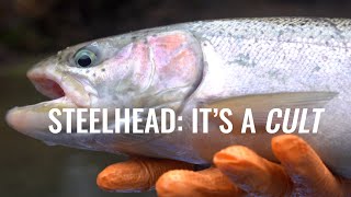 WINTER STEELHEAD FISHING: A confessional.