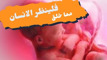 فلينظر الإنسان مم خلق | الشيخ احمد عبدالفتاح - سورة الطارق FHD