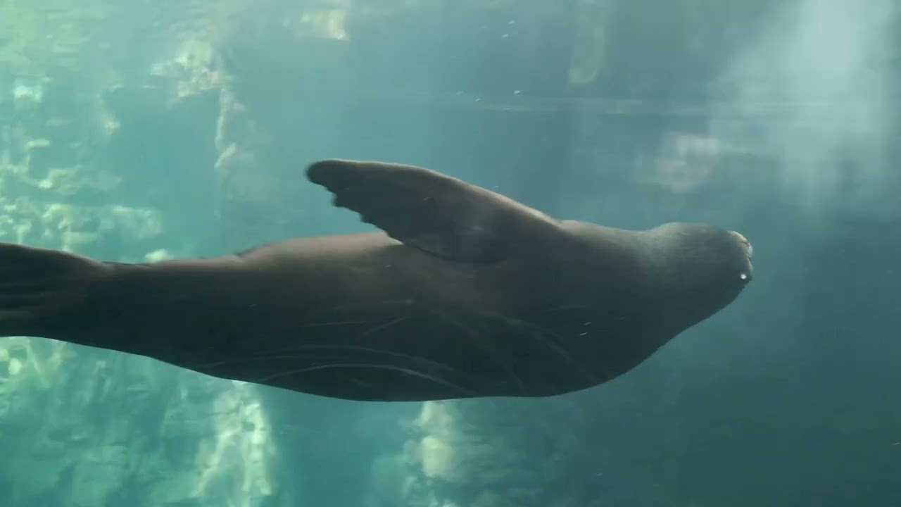 우리 가족 첫 해외여행 (오사카)