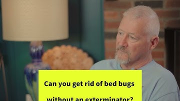 Can you get rid of bed bugs without an exterminator?