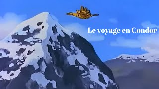 Le Voyage En Condor