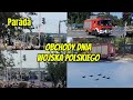 [Obchody dnia Wojska Polskiego 2024] Defilada żołnierzy oraz pokaz sprzętów wojskowych w paradzie.