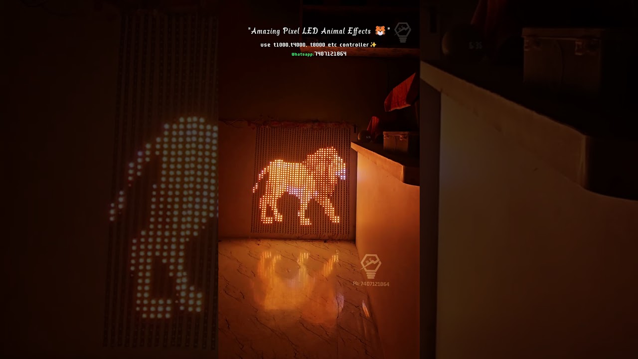 Custom Pixel LED Animal Effects | T1000 & T8000 Programming | Whatsapp 7407121864 