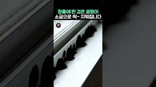 창틀에 핀 검은 곰팡이에 소금 뿌리면 싹~ 지워집니다!  #건강