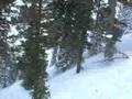 June Mountain - bluebird day