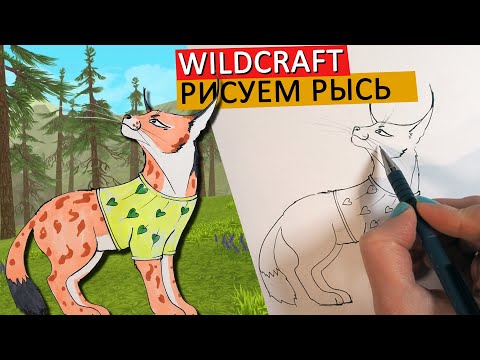 Видео урок как нарисовать рысь