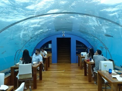 Ithaa, Conrad Maldives Rangali Island, Maldives - World's First Undersea Restaurant