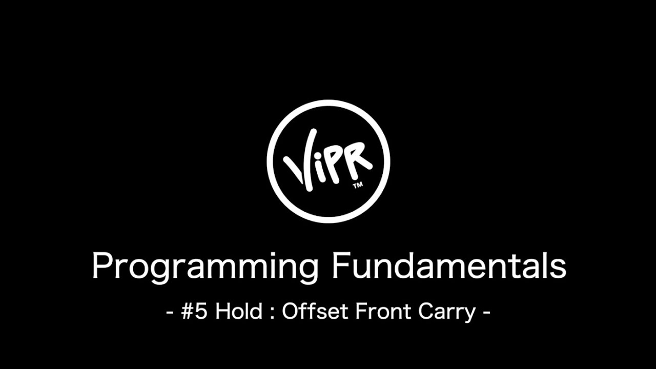□ViPR (バイパー)【直送】 4Kg/6kg 入荷待ち – フィットネスショップ