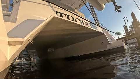 12 4 25 Tropi Cat ZIZP