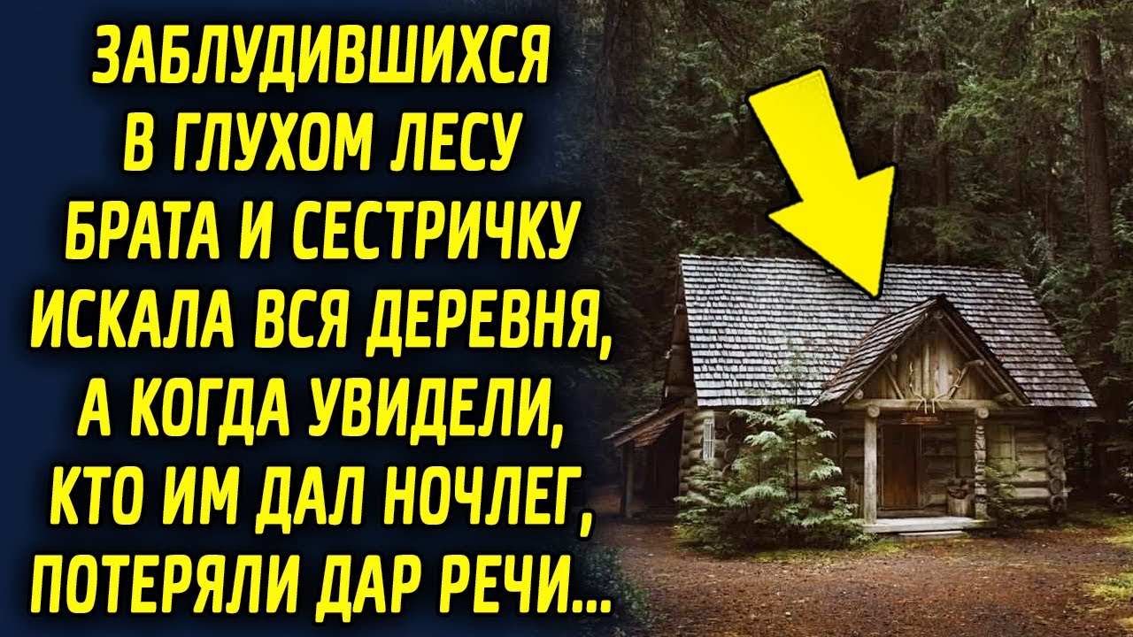 Заблудившихся в глухом лесу искала вся деревня, а когда увидели, кто им ...