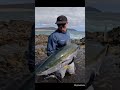 summer loving #fishing #landbasedfishing