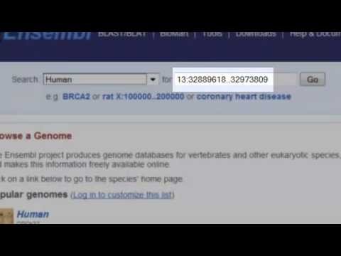 Demo 3: Old genome coordinates to new polymorphism in java with example