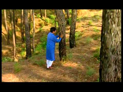 Sachi Sarkar Full Song Darshan Chano Ji Ka Palo