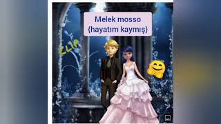 Mucize Uğur Böceği Ile Kara Kedi Melek Mosso Hayatım Kaymış 🥰
