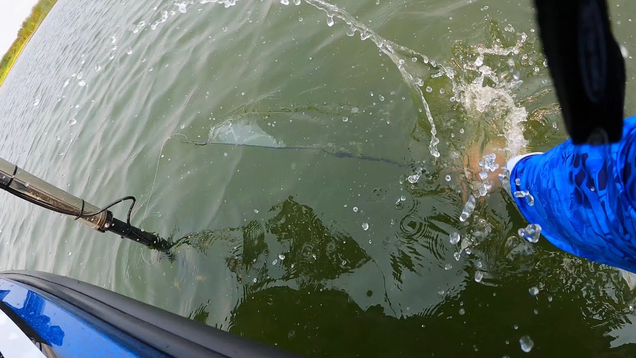 Snag Proof open pre fish Ca Delta 2021 YouTube