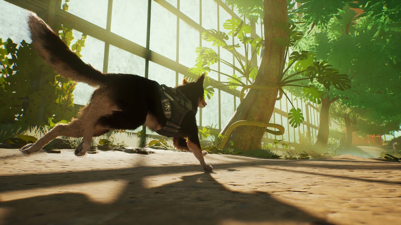 The Academy - LIVE - Barkour (Playtest) - [PC] - (Steam Next Fest Demo)