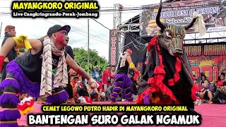 Bantengan Suro Ngamuk❗Cemet Legowo Hadir Di jaranan MAYANGKORO ORIGINAL Live Cangkringrandu Perak