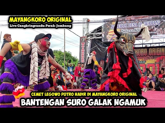 Bantengan Suro Ngamuk❗Cemet Legowo Hadir Di jaranan MAYANGKORO ORIGINAL Live Cangkringrandu Perak class=