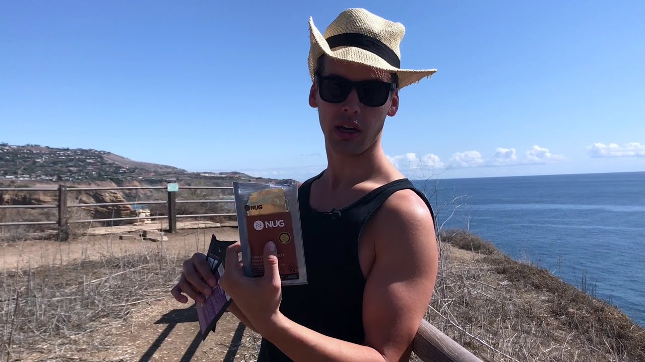 Nug Bars AND Edi Pure Review: Cannabis Edible Review