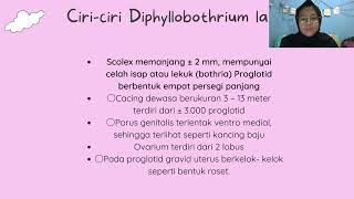 Diphyllobothrium latum