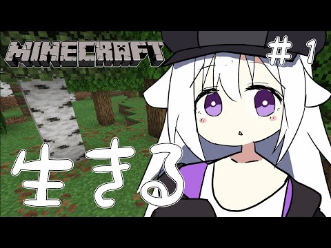 【マイクラ】にゅ～わ～るど【個人VTuber】
