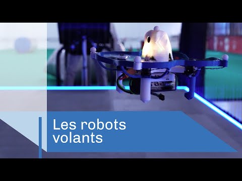 Vidéo: Les Robots Volants De La Taille D'une Abeille Deviennent Une Réalité - Vue Alternative