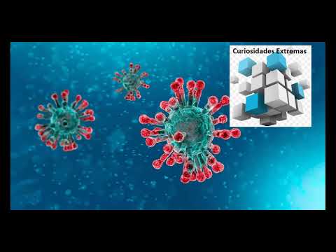 coronavirus-somos-portadores-de-coronavirus,-coronavirus-argentina,-coronavirus,-coronavirus-que-es