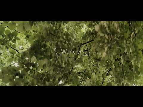 Paul Beauchamp - Wander (teaser)