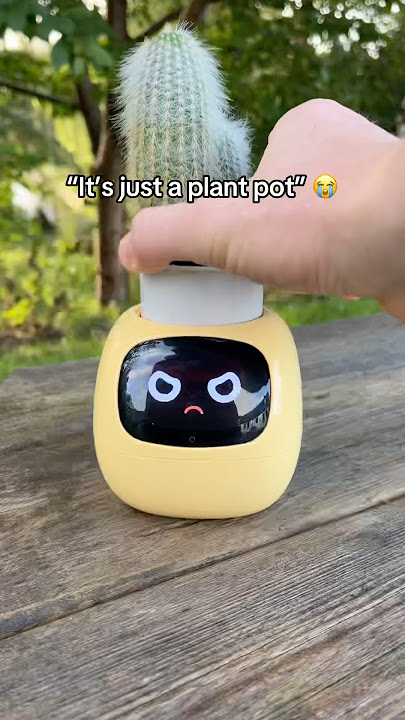 “It’s just a plant pot” 😭