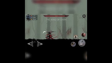 Ninja Arashi #Shorts / Ninja Arashi 2 #Shorts