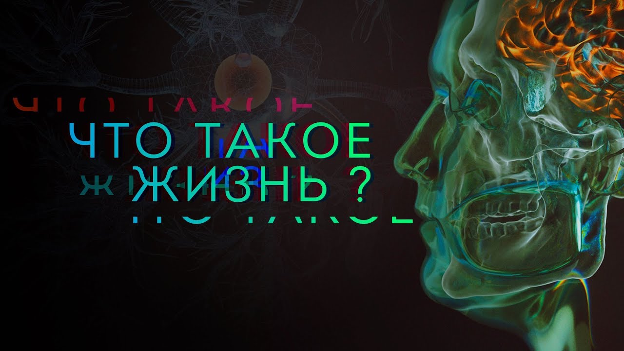 Что такое жизнь?