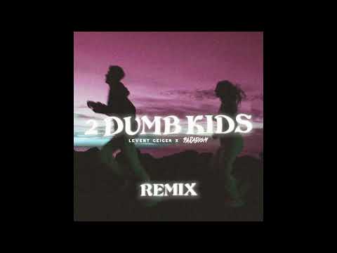 2 dumb kids (paradigm remix)