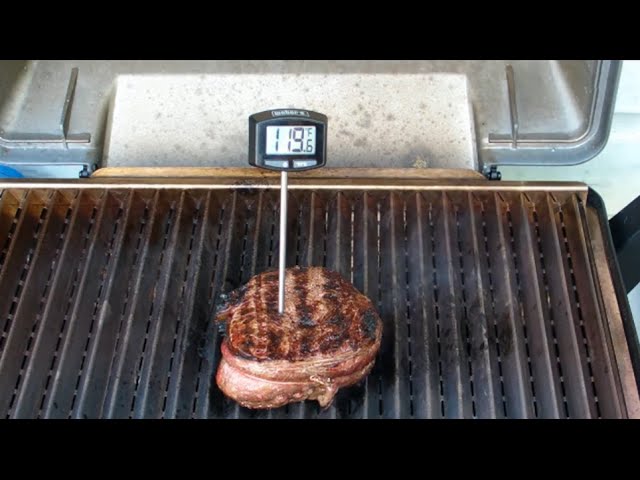 Weber 6492 Instant Read Thermometer Review